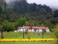 Te Aroha Springs Reserve