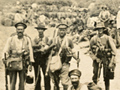 Wellington Mounted Rifles on Gallipoli