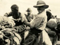 Wellington mounteds loading camels, Egypt