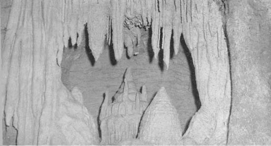 Waitomo Caves model 