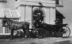 vice-regal horse-drawn carriage